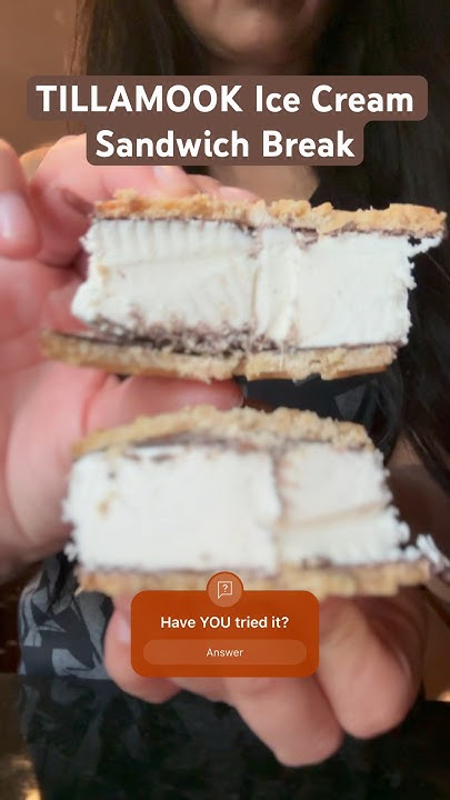 have-you-tried-the-tillamook-ice-cream-sandwich-youtube