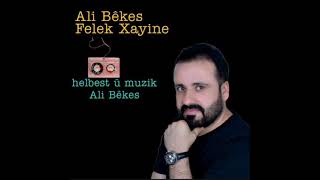 Ali Bêkes Felek Xayin Resimi