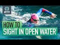 How to sight whilst open water swimming  swim sighting technique  tips