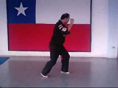 KENPO KARATE FKKM FRANCISCO ESPINOZA