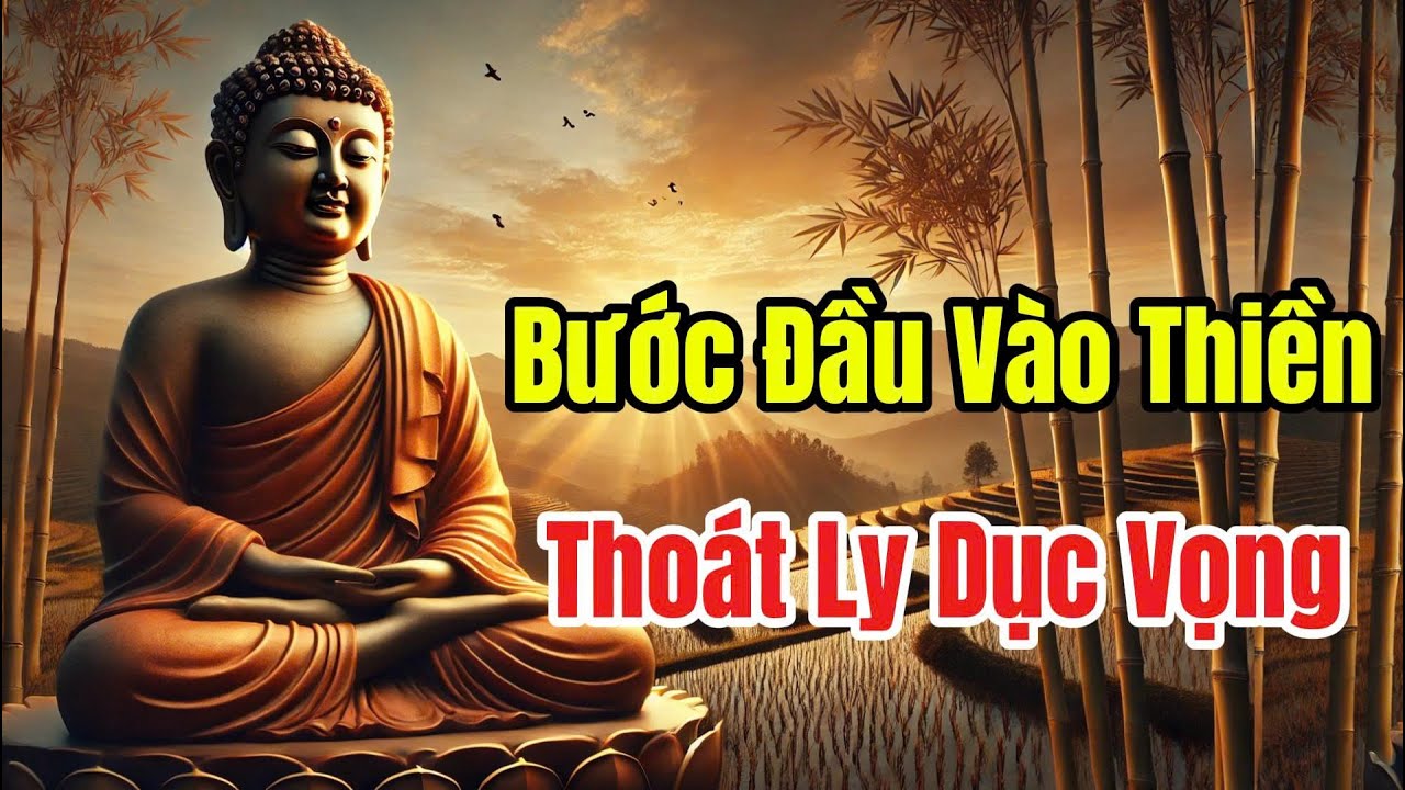 Sơ Thiền Là Gì? Thực Hành Ly Dục, Rời Xa Bất Thiện Pháp