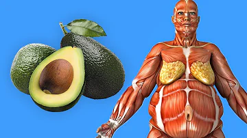 Was bewirkt Avocado im Gesicht?