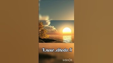 سورة الضحى 🌼 إسلام صبحي 🌼