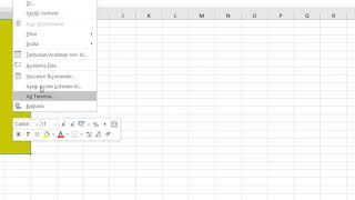 Excel Belirli Alan Dışını Kilitleme