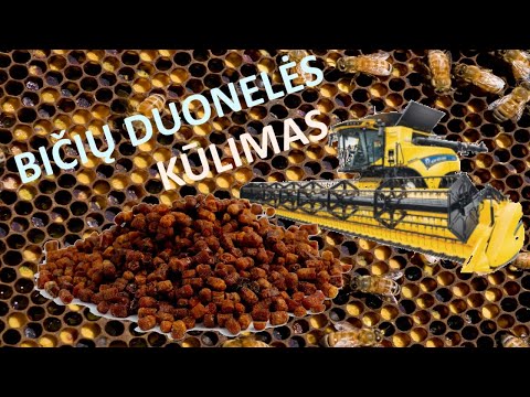 Video: 4 būdai, kaip sumažinti dulkes namuose