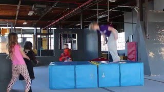 The Monkey Vault