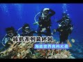 【綠島系列最終回】帶你深潛綠島的海底世界