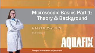 Microscopic Basics in Theory