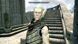 Skyrim: Knight-Paladin Gelebor