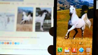 Proud Horse Live Wallpapers for android free screenshot 3