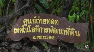รายการคนไทยหัวใจเกษตร 20 ธันวาคม 2559 B3
