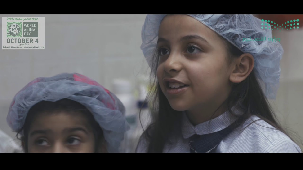 فلم الرفق بالحيوان 28 أكتوبر، 2019 الابتدائيه العاشره بالقطيف .. * *برنامج رفق ووبرنامج خط المساندة*