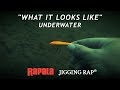 Rapala jigging rap  what it looks like underwater