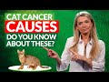 4 cat cancer causes most people seem to ignore