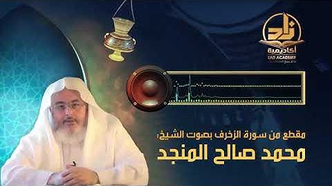تلاوه طيبه لفضيله الشيخ محمد المنجد رفع الله قدره #تلاوة_طيبة #محمد_صالح_المنجد #zad_tv