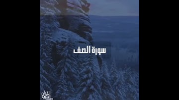 سورة : الصف القارئ : رعد الكردي