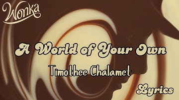 Timothée Chalamet - A World of Your Own (Lyrics) [From Wonka]