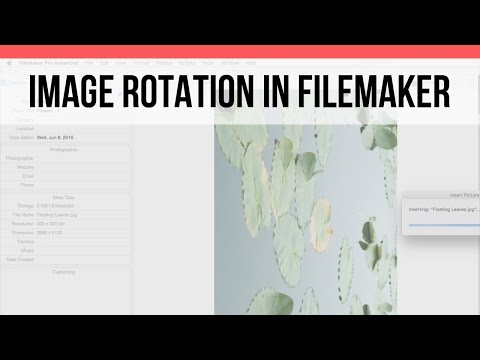 Image Rotation in FileMaker | FileMaker Pro 15 Videos | FileMaker 15 Training