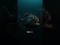 #FactDrop....So what's actually hiding in the deep ocean?