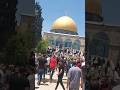 Masjideaqsa beautiful al aqsa mosque kalaam baitulmuqadds jerusalem palestine