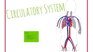 Circulatory System prezi (MS/HS)