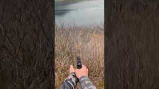 The most TERRIFYING moments of my life! Kodiak Brown Bear…