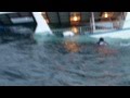 Sharks attack man off sinking boat