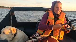видео: рыбалка на финском заливе, троллинг судака. картинка: рыбалка на финском заливе, троллинг судака.
