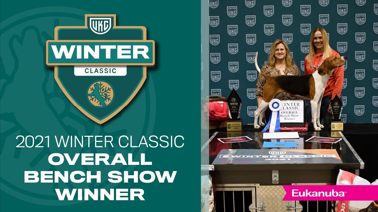 2021 Winter Classic Bench Show Winner Natalie Adkins, with Red Eagle Second Wind