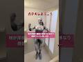妹が深夜に超怖い格好でいきなり倍倍ファイト踊り出すドッキリ #shorts #ドッキリ