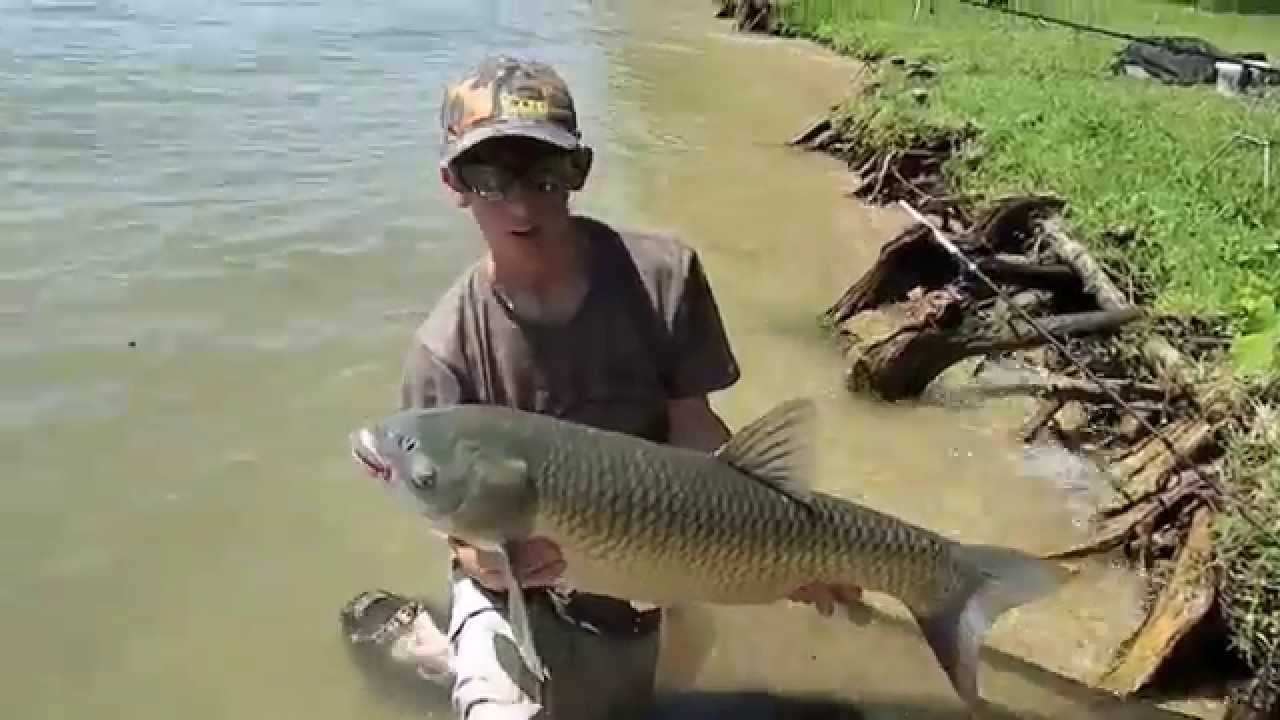 Carp Fishing at Lake Austin EURO Style YouTube