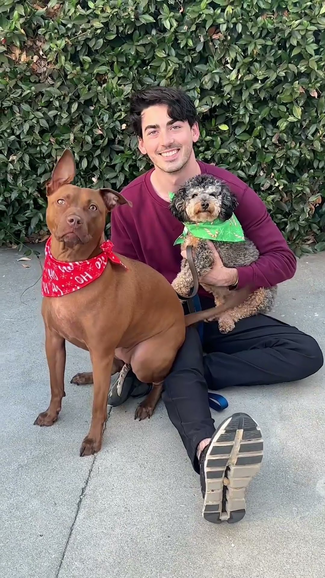 When You Find The Cutest Addition To Holiday Photos | The Pack