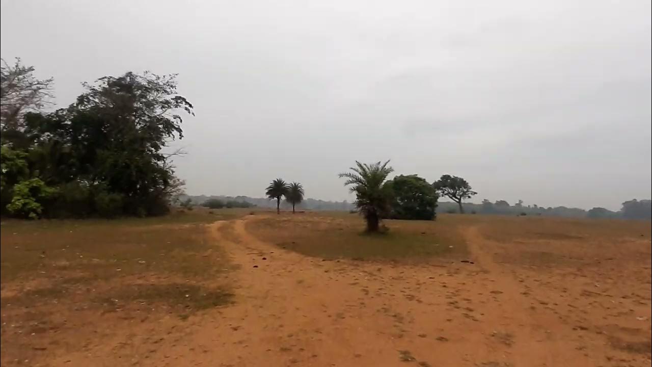 field ka video (jamui) YouTube