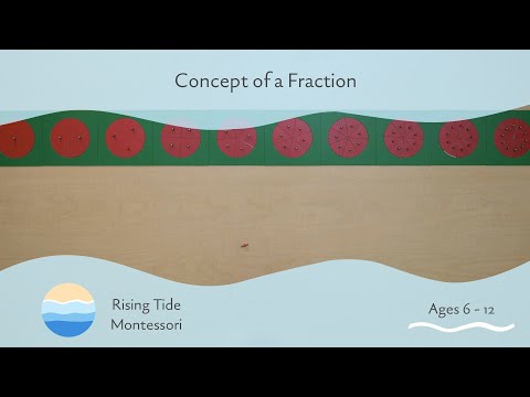 Concept of a Fraction