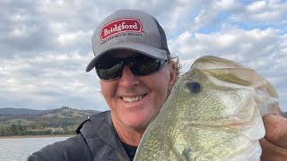 Pond/Bank And Night Fishing Techniques And Strategies