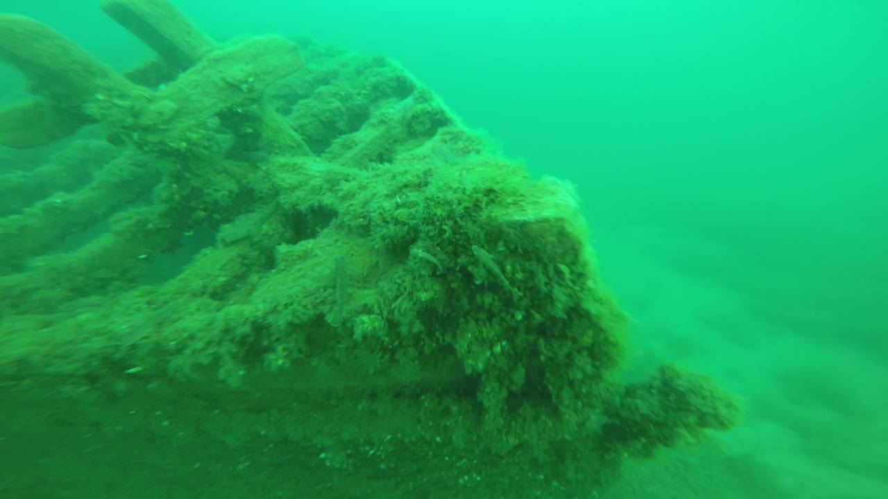elmwood-wreck-freedive-west-grand-traverse-bay-8-23-2016-youtube