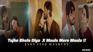 Tujhe Bhula Diya X Maula Mere Maula !! Non stop mashup 🎵 Lofi Music 🎶