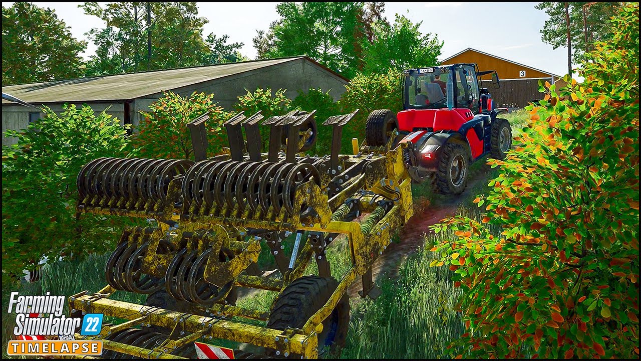 Subsoiling & Planting Sunflowers. Rolling | 