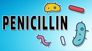 Amoxicillin, Penicillin, and Ampicillin - Mechanism of Action, Indications, and Side Effects