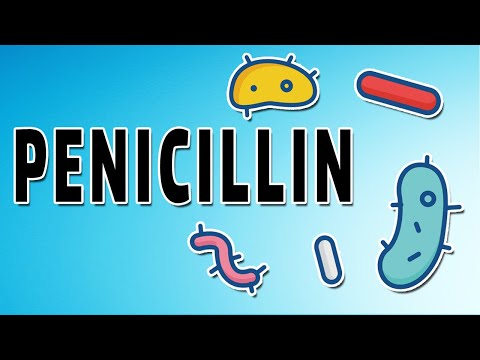 Amoxicillin، Penicillin، اور Ampicillin - عمل کا طریقہ کار، اشارے اور ضمنی اثرات