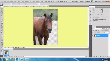Howrse Layout Tutorial