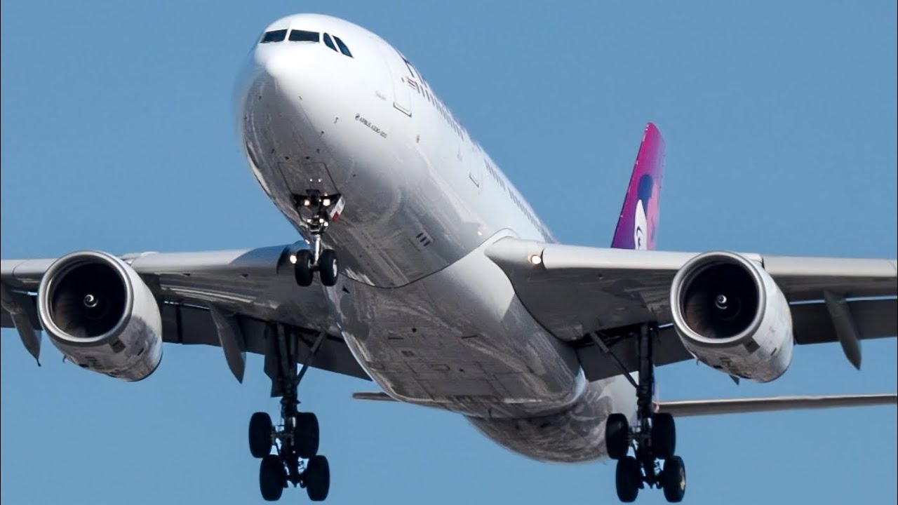 Hawaiian Airlines A330-243 landing from HNL 🇺🇸 to LAX 🇺🇸🌎✈️ 