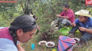 Fuimos a chapurrear en el campo y mamá nos preparó la comida