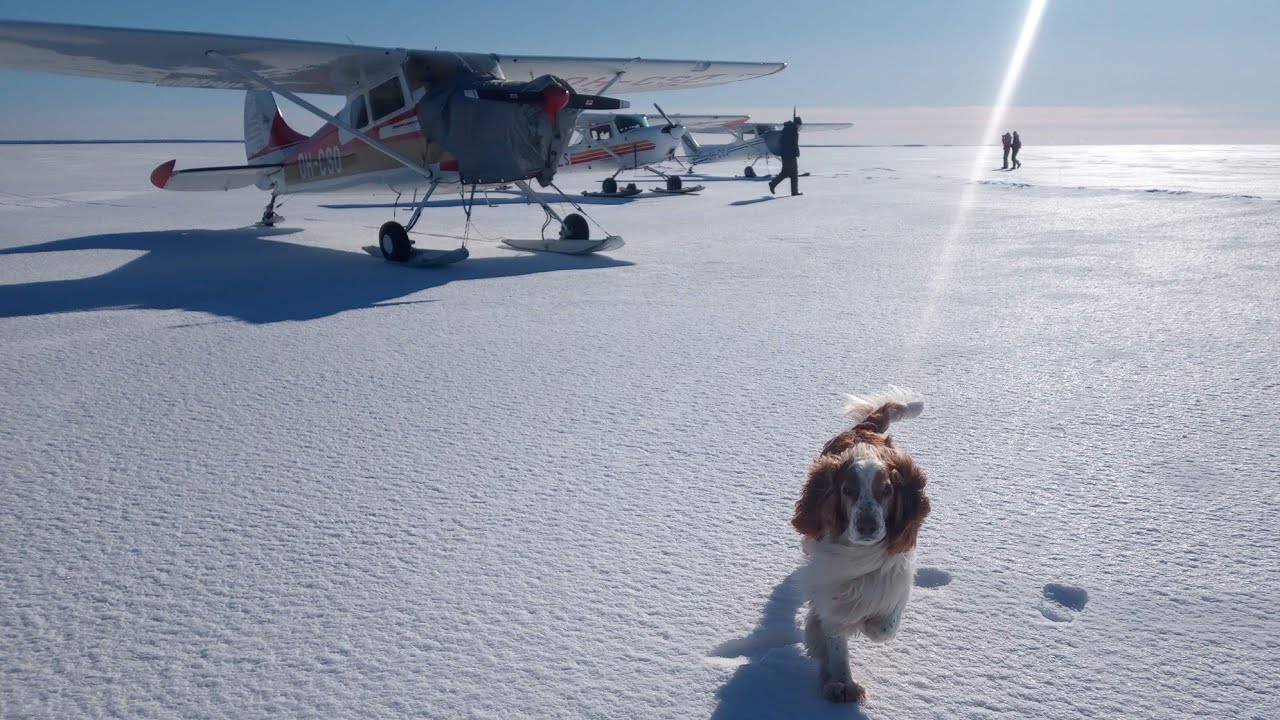 Suksilentoretkeilyä 2024