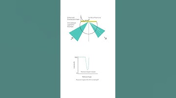 Surface Plasmon Resonance (SPR) Technology, Explained