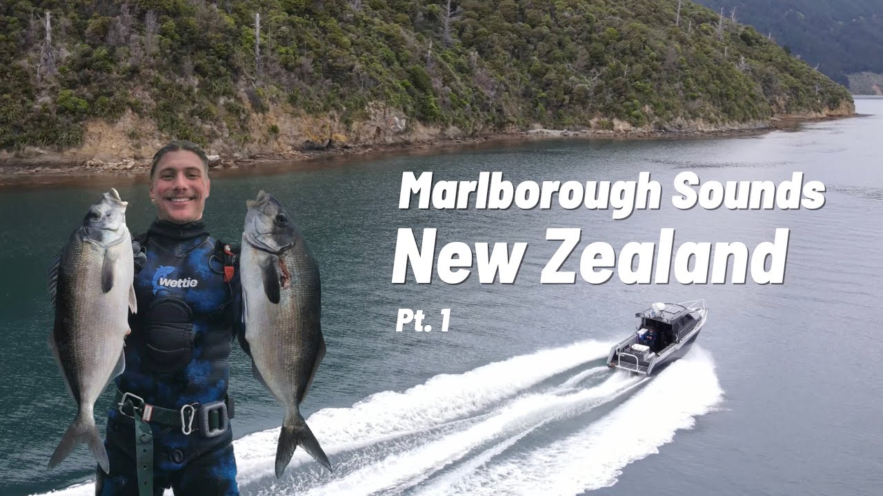 Marlborough Sounds Spearfishing Competition SOUNDS SUMMER SLAM 2022
