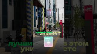 Сопровождение в Корею🇰🇷 #поступление #корея #gks #дорамы