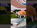 cat funny shorts | cat funny moments | cat song | funny cartoon #funnycute #cat #meaow #shorts