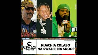 DIAMOND PLATNUMZ COLABO NA SWALEE, SNOOP DOG #tiktok #2024 #music #trending #youtubeshorts