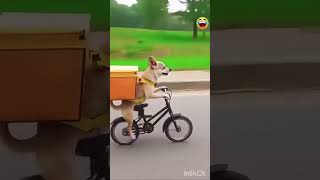 বিনোদন বাজার #trending #funny #youtubeshorts #comedy #youtube #shortvideo #viralvideo #shorts #like